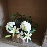 White Lilac Romantic - Adults Only 4* Arona