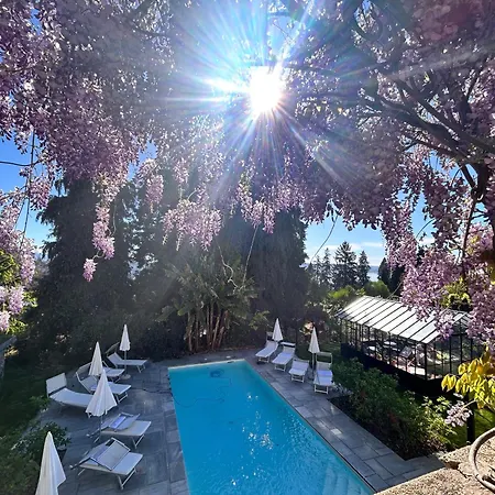 White Lilac Romantic - Adults Only 2*
