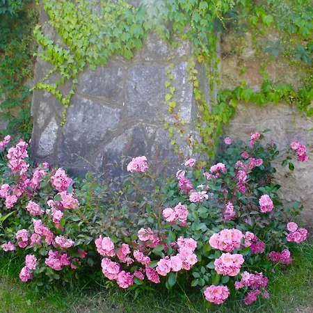 White Lilac Romantic - Adults Only Couette-café 4*