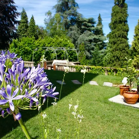 White Lilac Romantic - Adults Only 2* Arona