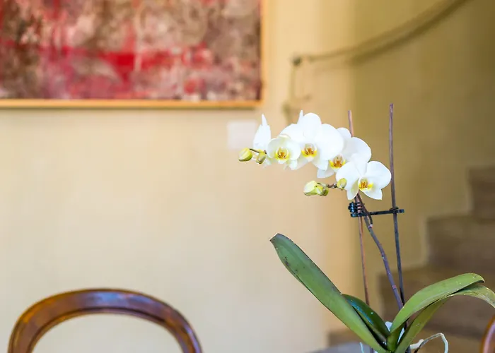 Bed & Breakfast White Lilac Romantic - Adults Only