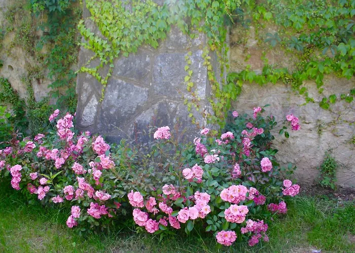 White Lilac Romantic - Adults Only Bed & Breakfast 4*